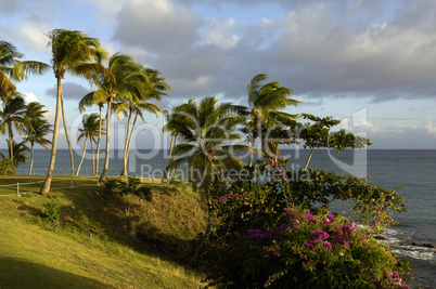 the coast of  Le Diamant in Martinique