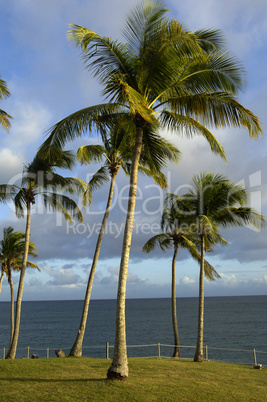 the coast of  Le Diamant in Martinique