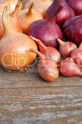 onions