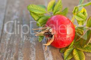 rose hip