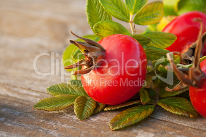 rose hips