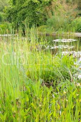 Brittany, le Jardin Lepage in Pleumeur Bodou