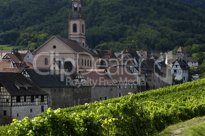 France, vineyard of Riquewihr in Alsace