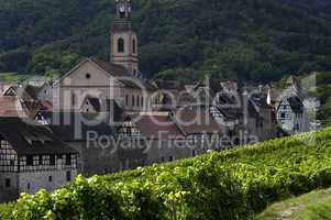 France, vineyard of Riquewihr in Alsace