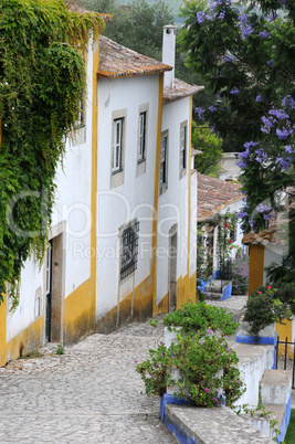 the small village of Obidos in Portugal