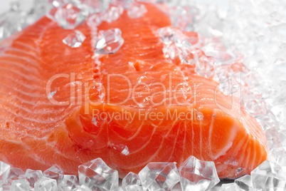 salmon on ice