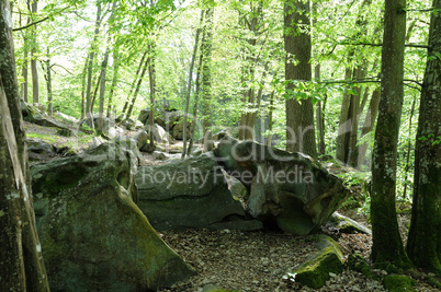 France, Les Vaux de Cernay in Chevreuse valley