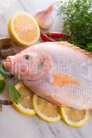 Freshness reddens the Nile Tilapia fish (Oreochromis niloticus)