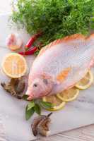 Freshness reddens the Nile Tilapia fish (Oreochromis niloticus)