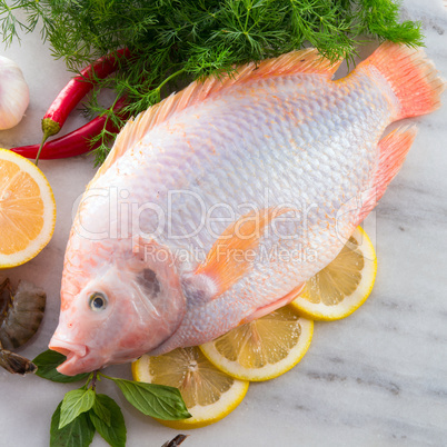 Freshness reddens the Nile Tilapia fish (Oreochromis niloticus)