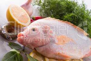 Freshness reddens the Nile Tilapia fish (Oreochromis niloticus)