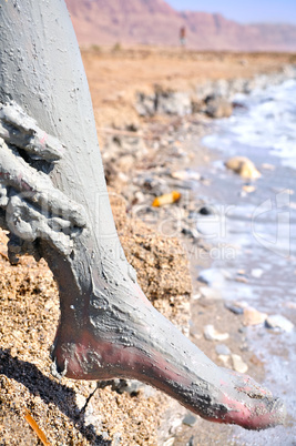Healthy mud of the Dead Sea