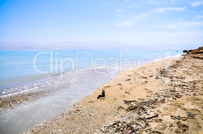 Dead Sea coast, Israel