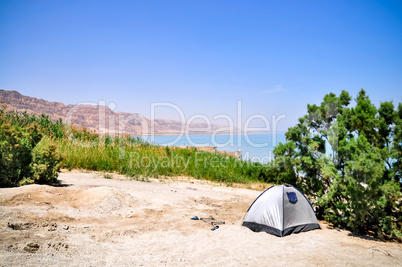 Oasis near the Dead Sea