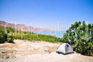 Oasis near the Dead Sea