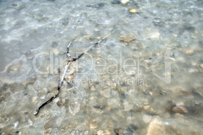 surface of a salty water pond