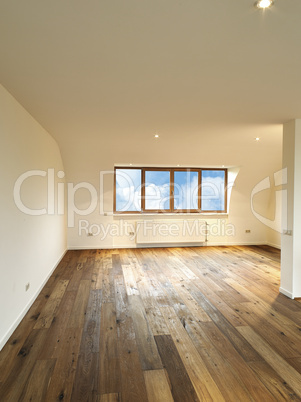 modern interior with wooden floor