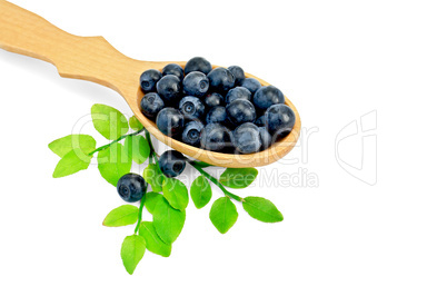 Blueberries in a spoon with a leaf