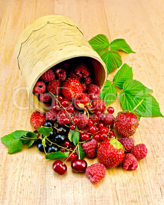 Berries in a birch tueski