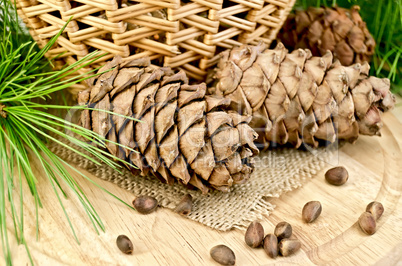 Cedar cones with a basket