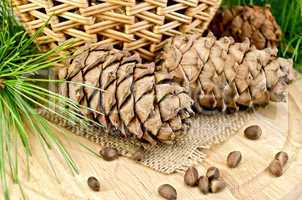 Cedar cones with a basket