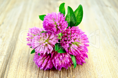 Clover bouquet on the old board