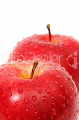 Apples