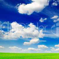 meadow