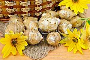Jerusalem artichokes with yellow flowers and a basket