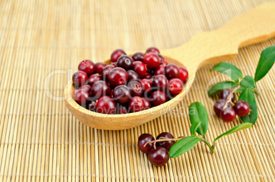 Lingonberry in a wooden spoon on a bamboo mat