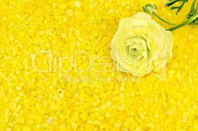 Salt yellow with flower