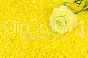 Salt yellow with flower