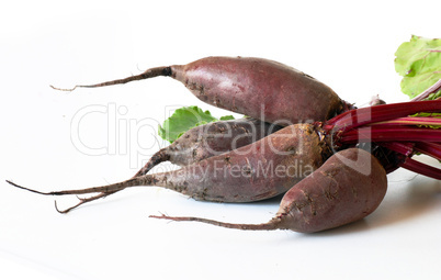 Beet