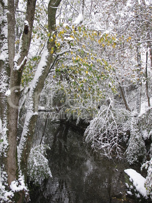 Winter Image