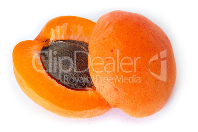 Apricot