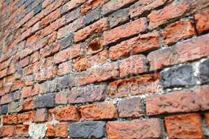 Red brick wall. Perspective view.