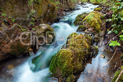 Forest waterfall