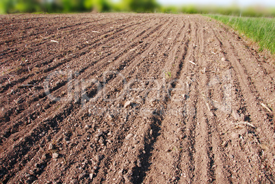 Plowed field