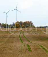 Two wind turbines in the field.