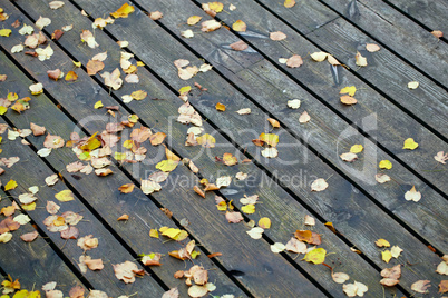 Boards with leaves background.