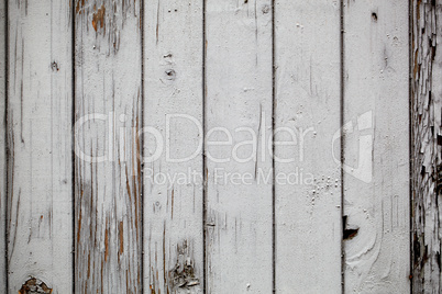 Grey wooden wall. Macro shot.