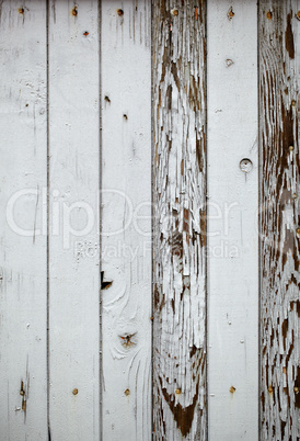 Gray wooden wall. Macro shot.