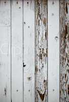 Gray wooden wall. Macro shot.