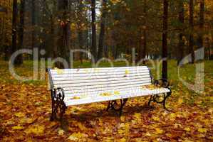 Bench in the autumn park.