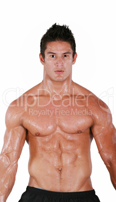 Handsome muscular man isolated on white background