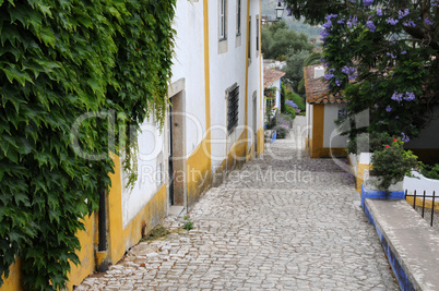 the small village of Obidos in Portugal