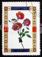 Postage stamp Umm al-Quwain 1972 Rose, Flower