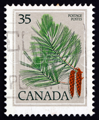 Postage stamp Canada 1979 White Pine, Pinus Strobus, Tree