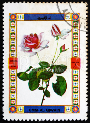 Postage stamp Umm al-Quwain 1972 Rose, Flower