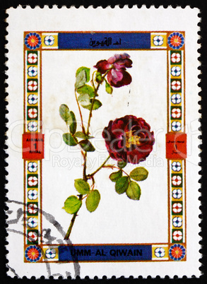 Postage stamp Umm al-Quwain 1972 Rose, Flower